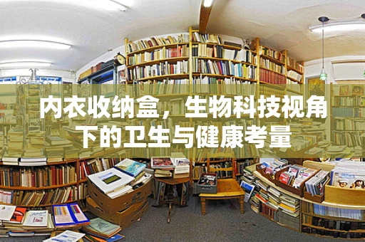 内衣收纳盒，生物科技视角下的卫生与健康考量