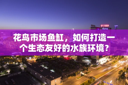花鸟市场鱼缸，如何打造一个生态友好的水族环境？