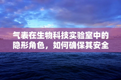 气表在生物科技实验室中的隐形角色，如何确保其安全与精准？