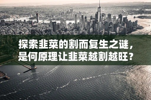 探索韭菜的割而复生之谜，是何原理让韭菜越割越旺？