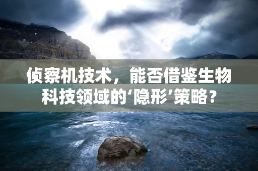 侦察机技术，能否借鉴生物科技领域的‘隐形’策略？