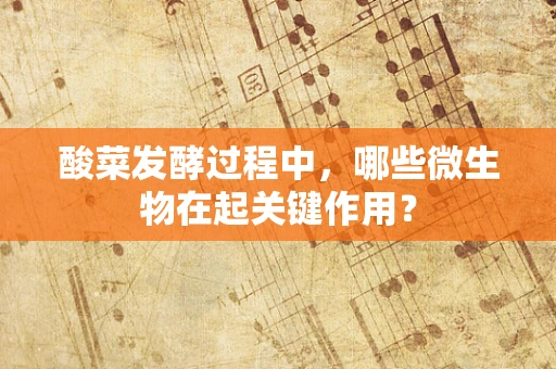 酸菜发酵过程中，哪些微生物在起关键作用？