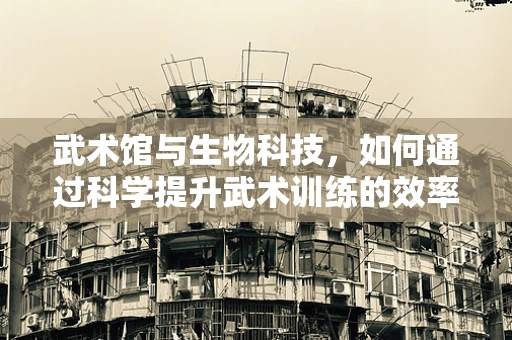 武术馆与生物科技，如何通过科学提升武术训练的效率与安全？