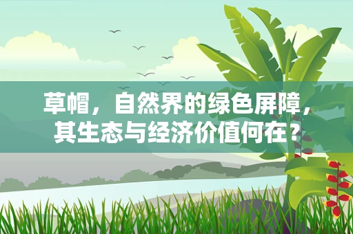草帽，自然界的绿色屏障，其生态与经济价值何在？