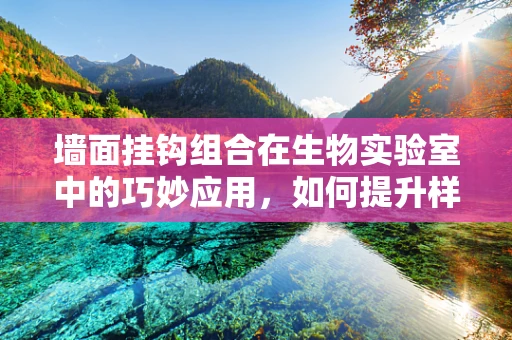墙面挂钩组合在生物实验室中的巧妙应用，如何提升样本存储的便捷性与安全性？