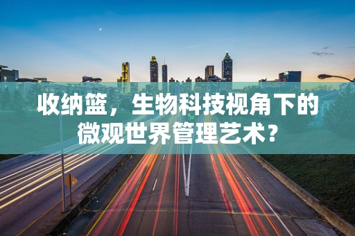 收纳篮，生物科技视角下的微观世界管理艺术？
