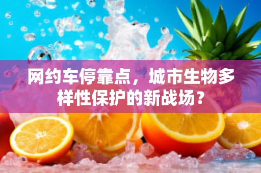 网约车停靠点，城市生物多样性保护的新战场？