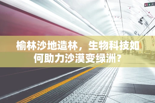榆林沙地造林，生物科技如何助力沙漠变绿洲？