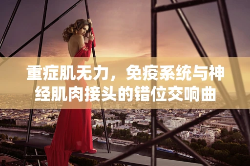 重症肌无力，免疫系统与神经肌肉接头的错位交响曲