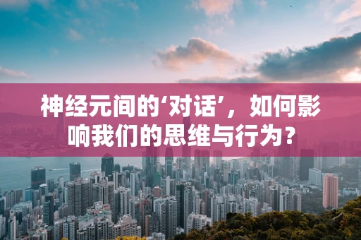 神经元间的‘对话’，如何影响我们的思维与行为？