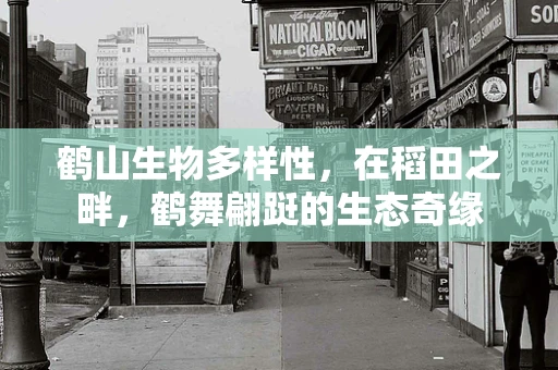 鹤山生物多样性，在稻田之畔，鹤舞翩跹的生态奇缘