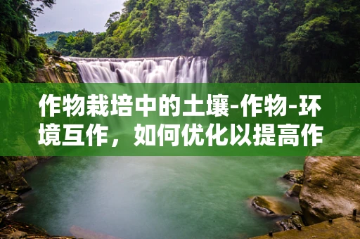 作物栽培中的土壤-作物-环境互作，如何优化以提高作物产量？