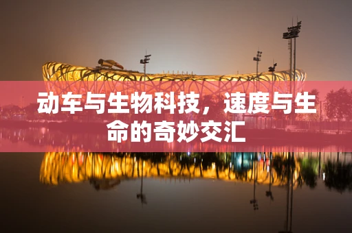 动车与生物科技，速度与生命的奇妙交汇