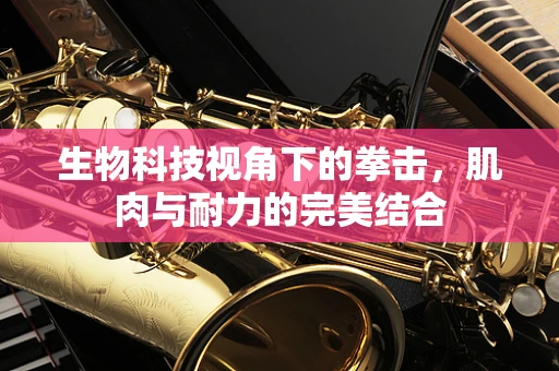生物科技视角下的拳击，肌肉与耐力的完美结合