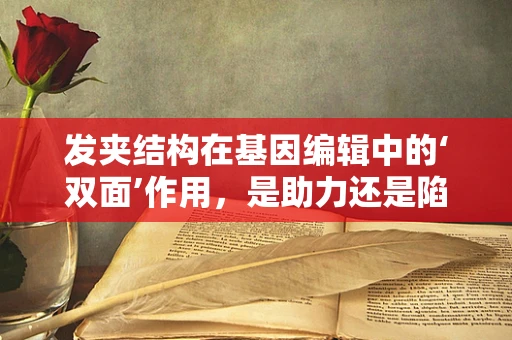 发夹结构在基因编辑中的‘双面’作用，是助力还是陷阱？