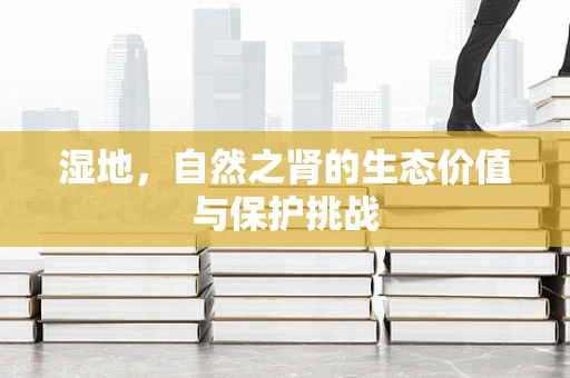 湿地，自然之肾的生态价值与保护挑战