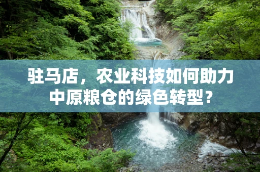 驻马店，农业科技如何助力中原粮仓的绿色转型？