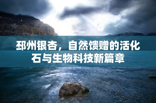 邳州银杏，自然馈赠的活化石与生物科技新篇章