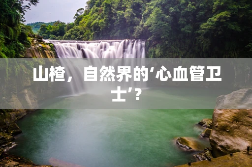 山楂，自然界的‘心血管卫士’？