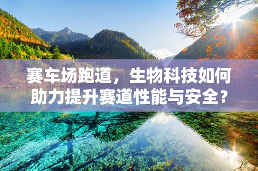 赛车场跑道，生物科技如何助力提升赛道性能与安全？