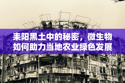 耒阳黑土中的秘密，微生物如何助力当地农业绿色发展？