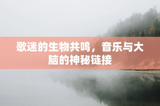 歌迷的生物共鸣，音乐与大脑的神秘链接