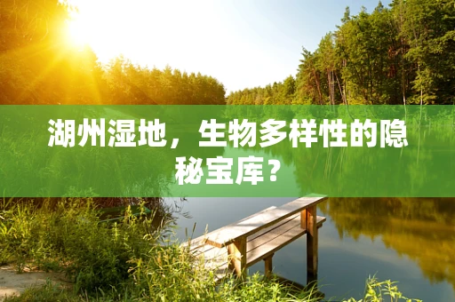 湖州湿地，生物多样性的隐秘宝库？