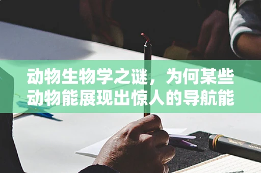 动物生物学之谜，为何某些动物能展现出惊人的导航能力？