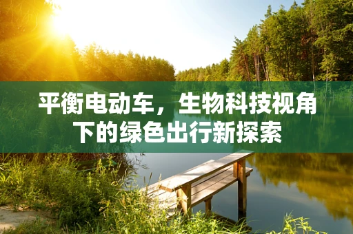 平衡电动车，生物科技视角下的绿色出行新探索