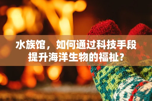 水族馆，如何通过科技手段提升海洋生物的福祉？
