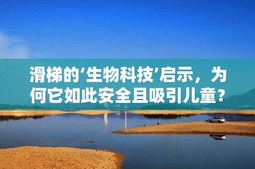 滑梯的‘生物科技’启示，为何它如此安全且吸引儿童？