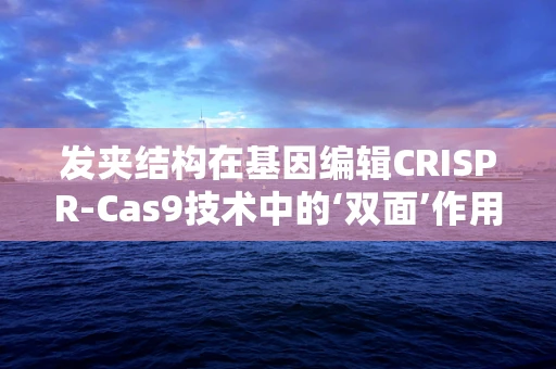 发夹结构在基因编辑CRISPR-Cas9技术中的‘双面’作用是什么？