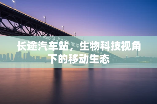 长途汽车站，生物科技视角下的移动生态