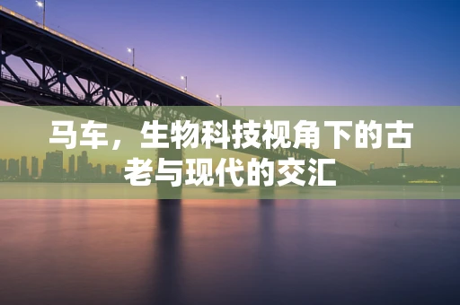 马车，生物科技视角下的古老与现代的交汇