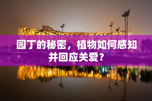 园丁的秘密，植物如何感知并回应关爱？