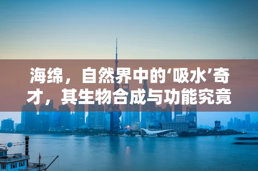 海绵，自然界中的‘吸水’奇才，其生物合成与功能究竟如何？