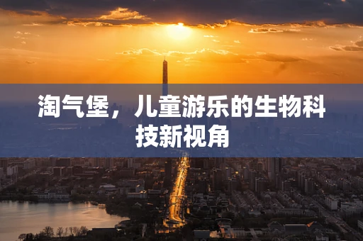 淘气堡，儿童游乐的生物科技新视角