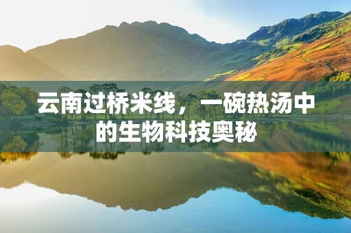 云南过桥米线，一碗热汤中的生物科技奥秘