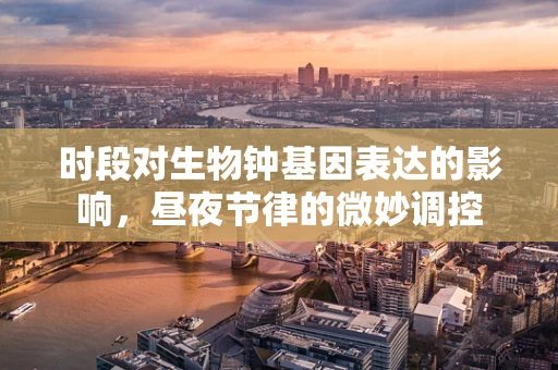 时段对生物钟基因表达的影响，昼夜节律的微妙调控