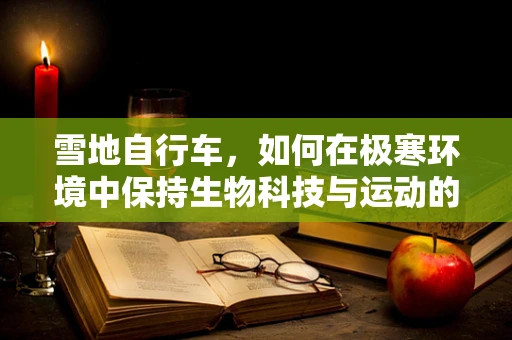 雪地自行车，如何在极寒环境中保持生物科技与运动的完美结合？