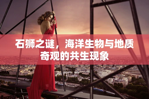 石狮之谜，海洋生物与地质奇观的共生现象