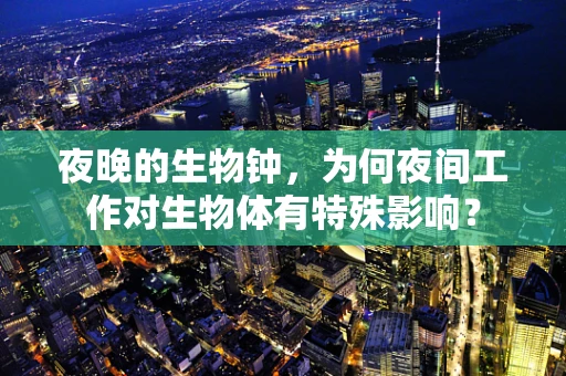 夜晚的生物钟，为何夜间工作对生物体有特殊影响？