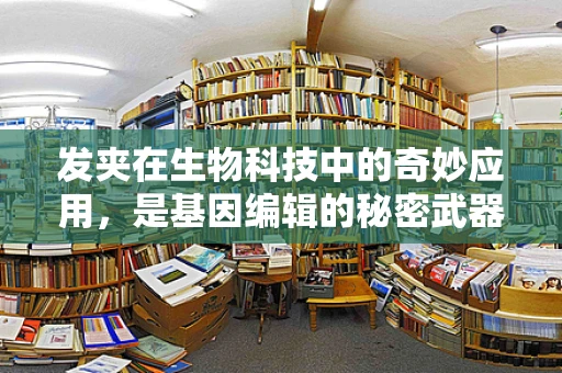 发夹在生物科技中的奇妙应用，是基因编辑的秘密武器吗？