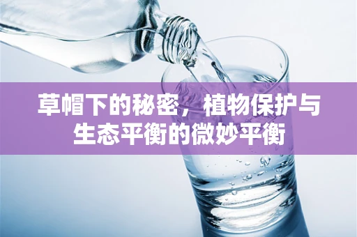 草帽下的秘密，植物保护与生态平衡的微妙平衡