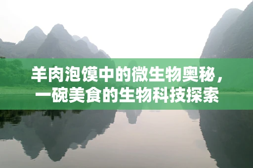 羊肉泡馍中的微生物奥秘，一碗美食的生物科技探索