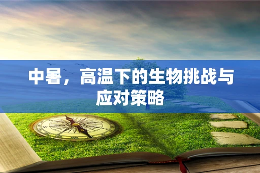 中暑，高温下的生物挑战与应对策略
