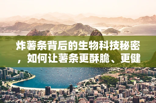 炸薯条背后的生物科技秘密，如何让薯条更酥脆、更健康？