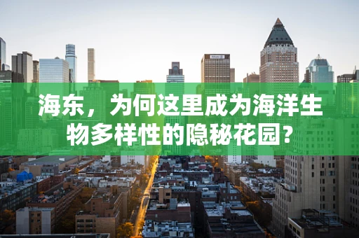 海东，为何这里成为海洋生物多样性的隐秘花园？