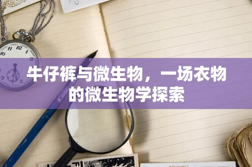牛仔裤与微生物，一场衣物的微生物学探索