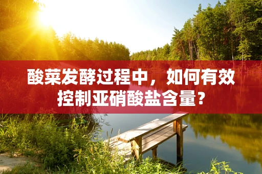 酸菜发酵过程中，如何有效控制亚硝酸盐含量？
